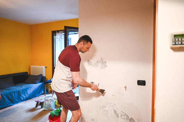 Best Post-Flood Mold Remediation in South Greeley, WY
